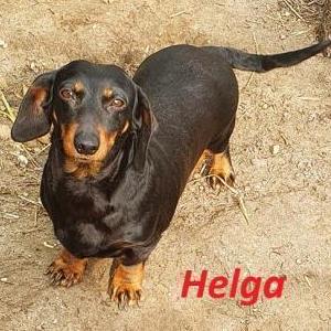 Helga_10
