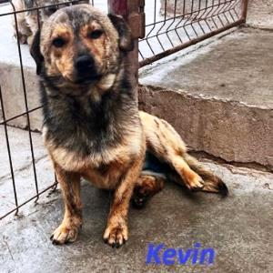 Kevin_30