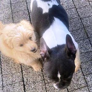 Pepper_44