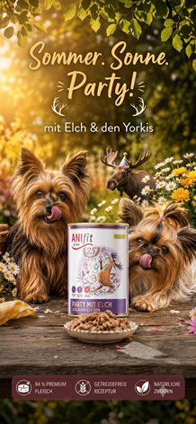 Beispielbild